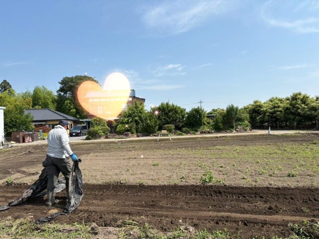 今日はお友達全員でじゃがいも掘り🥔へ

大きいじゃがいも🥔小さいじゃがいも🥔たくさんとれてニコニコ😊
帰りは袋いっぱいのじゃがいもを持ち帰りました👏

島田農園さん、ありがとうございました🙇‍♀️
お手伝いパパさん、本部さん、朝からありがとうございました🙇‍♀️

#さくら学園sei #英語型保育園#栃木市#認定こども園#じゃがいも掘り#令和8年新入園児募集中#