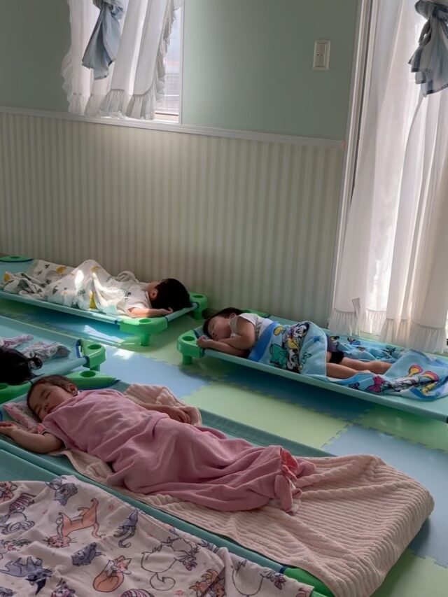 今日もたくさん遊んで、みんなぐっすり夢の中…🌙
すやすやと気持ちよさそうに眠る姿に、こちらまで癒されます。

お家の匂いがする大好きなバスタオルに包まれて、安心した表情でお昼寝中☺️

子どもたちにとって、ほっとできる大切な時間です。

たくさん休んで、午後も元気いっぱい過ごそうね♪

#さくら学園SEI#お昼寝#2２歳児#栃木県#認定こども園
