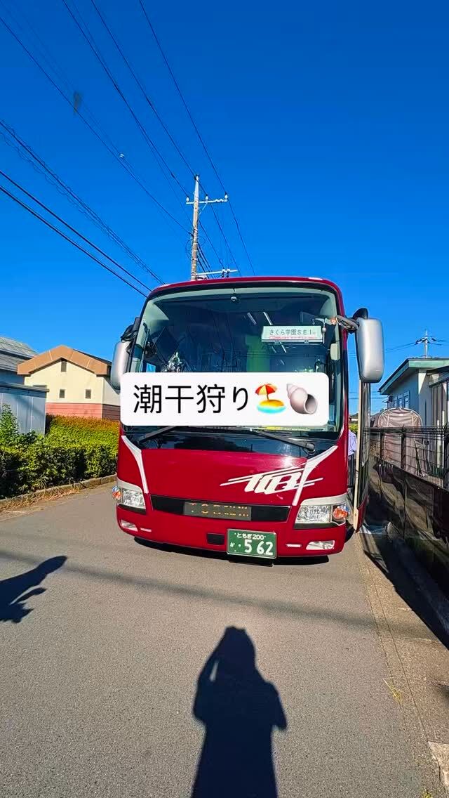 潮干狩りへ出発！🚌

今日はSESの潮干狩り！
朝からワクワクした様子でバスに乗り込みました。
バスの中では、お友だちや先生とお話をしたり、海でどんな貝が見つかるかな？とワクワク！

これから海へ向かい、みんなで潮干狩りを楽しみます。
どんな貝があるかな？

元気いっぱい出発です！🐚✨

#潮干狩り#英語#栃木市#認定こども園#小学生