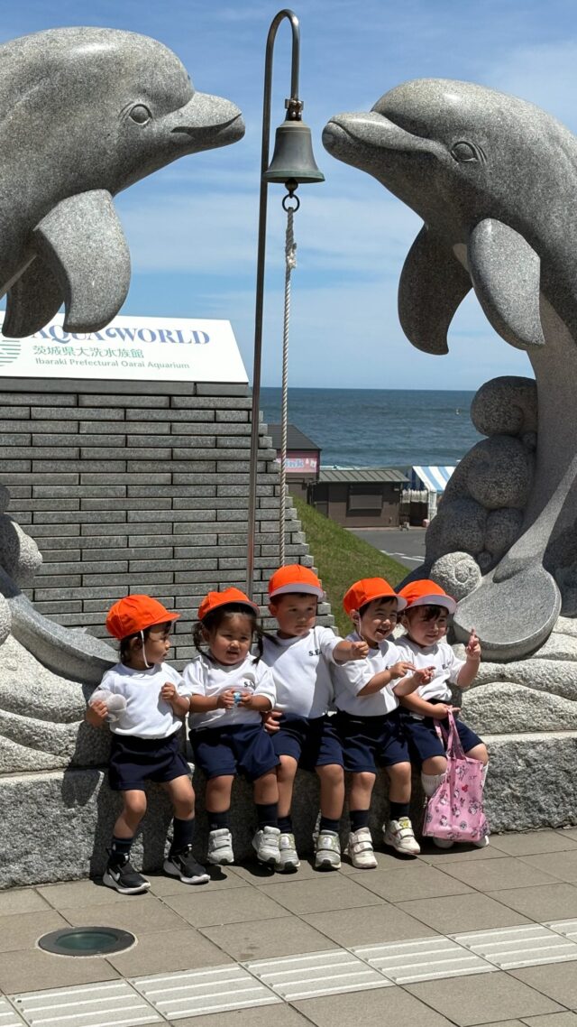 今日はSEI1・SEI2の親子遠足で、大洗水族館へ行ってきました。

親子遠足は、子どもたちにとって特別な一日です。

水族館では、色とりどりのお魚や大きなお魚、小さなお魚など、さまざまな海の生き物に出会うことができました。

親子でたくさん触れ合い、素敵な思い出ができた一日になりましたね。
ご参加いただき、ありがとうございました。

SEIでは0歳児クラスの園児を募集しております。ご興味のある方はお気軽にお問い合わせください。

また、7月15日（水）に新入園児向けの入園説明会を開催いたします。
園の雰囲気や日々の保育の様子をご紹介いたしますので、入園をご検討中の方はぜひご参加ください。

#水族館#認定こども園 #栃木県栃木市#遠足#子ども主体